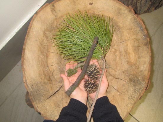 Leaving Traces Composition 3