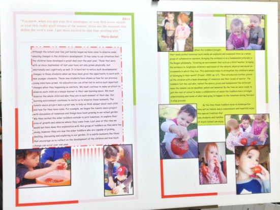 Acorn Tomato Documentation