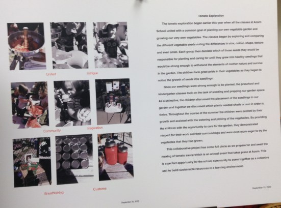 Acorn: Tomato Exploration