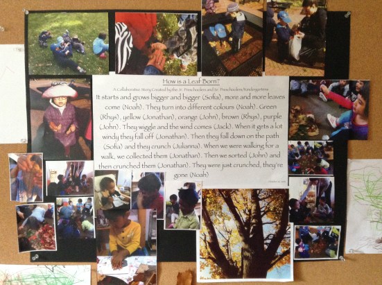 Acorn: A leaf is born 2