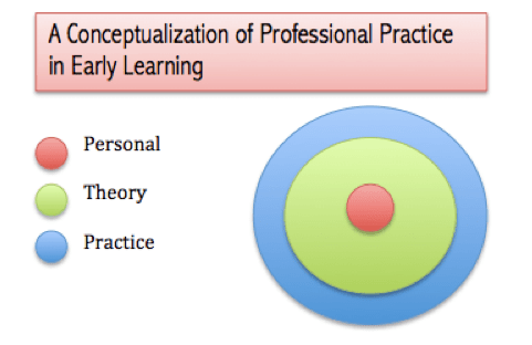 A conceptualization of professional practice