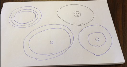 Circles of influence in professional practice