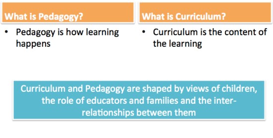 What is Pedagogy? What is Curriculum?