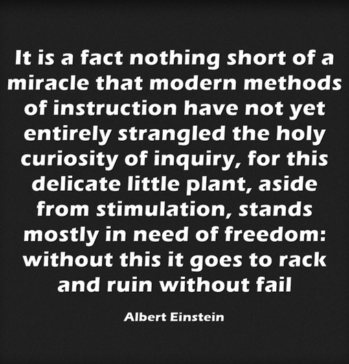 Albert Einstein on Inquiry