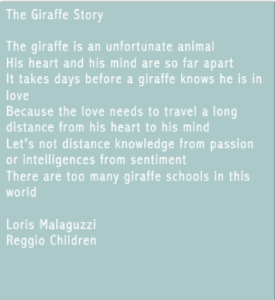 The Giraffe Story