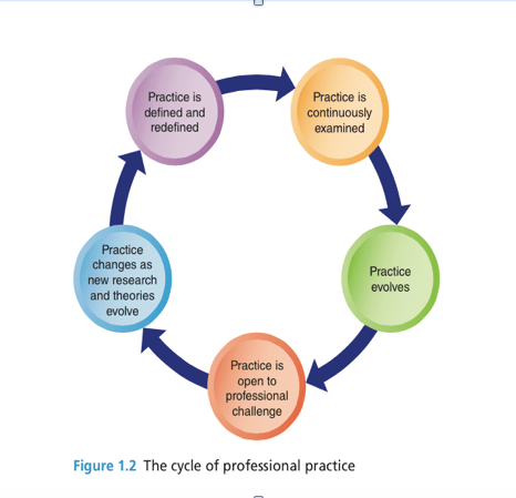The Cycle of Professional Practice