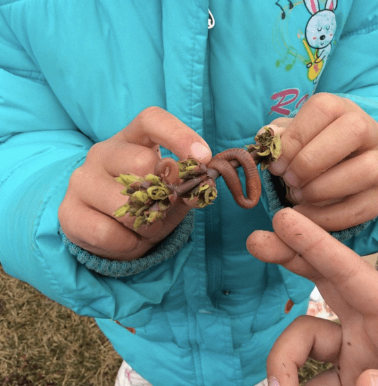 Touching worms