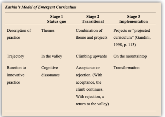 Emergent Curriculum