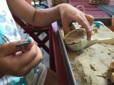 Worksheets don’t Work: Try Reggio-Inspired&nbsp;Mathematics!
