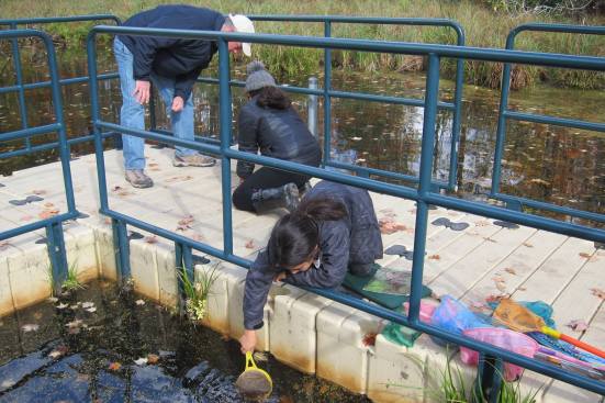 Cultivating Interests at the Pond