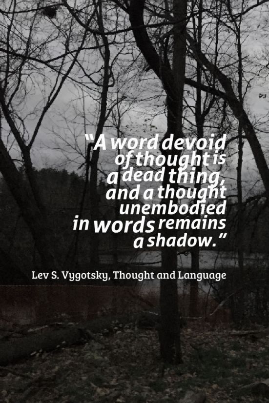 vyogotsky quote