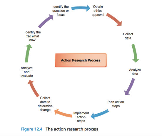 The process of action research