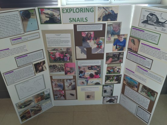 exploringsnails