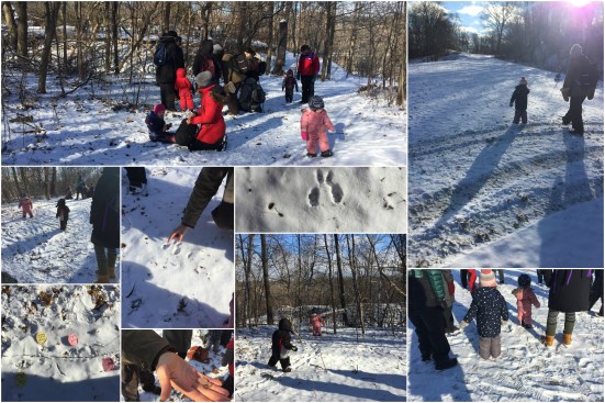 A Visit to Oaks and Acorns