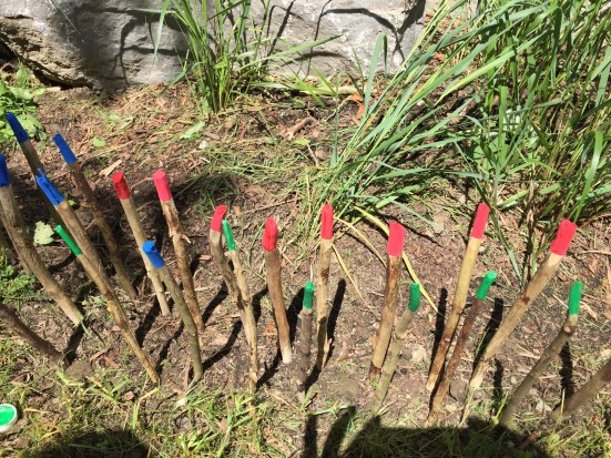 Rainbow Math Sticks.JPG