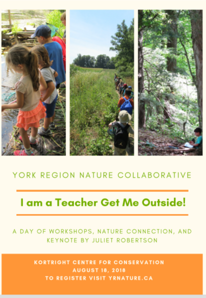 I am a Teacher Get ME OUTSIDE