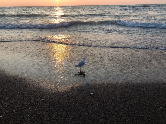 On Being Mindful at the Beach