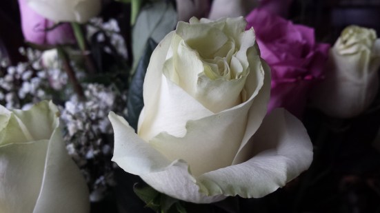 Stop and smell the roses