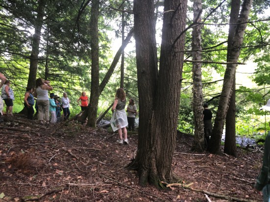 In the forest with Hopi