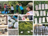 Knowing it in our Bones: Outdoor and Nature Play for Children and&nbsp;Adults
